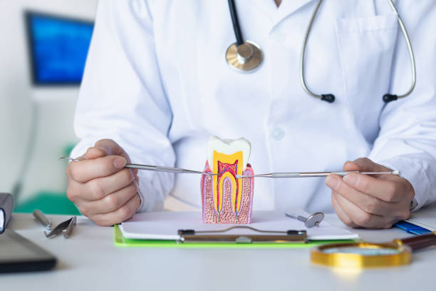 Best Affordable Emergency Dental Care  in Herington, KS